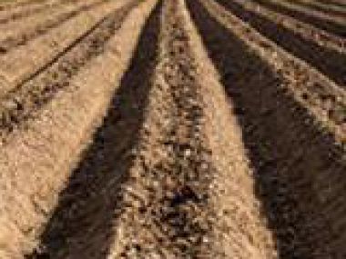 Soil Preparation & Tillage