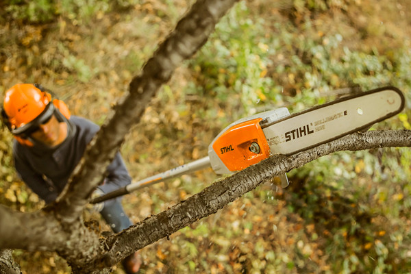 Stihl | Pole Pruners | Battery Pole Pruners for sale at Carroll's Service Center