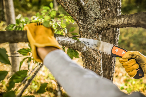 Stihl | Gardening Tools | Hand Pruning Saws for sale at Carroll's Service Center