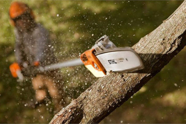 Stihl | Pole Pruners | Homeowner Pole Pruners for sale at Carroll's Service Center