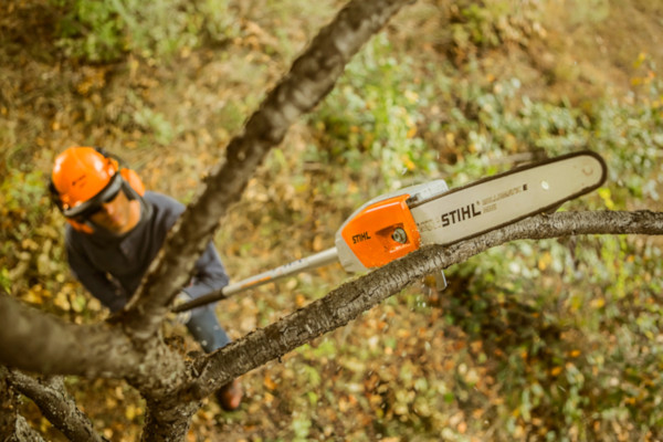 Stihl | Pole Pruners | Pole Pruner Accessories for sale at Carroll's Service Center