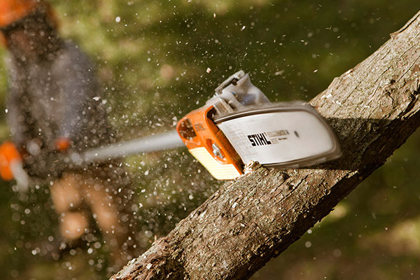 Stihl | Pole Pruners | Professional Pole Pruners for sale at Carroll's Service Center
