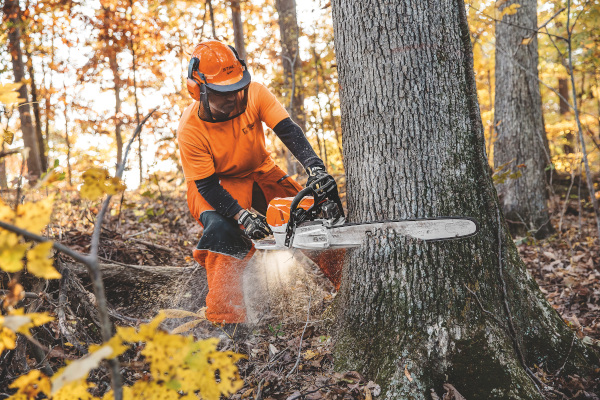 Stihl | ChainSaws | Professional Saws for sale at Carroll's Service Center