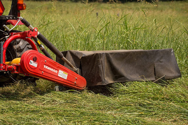 Yanmar YMDM50 for sale at Carroll's Service Center