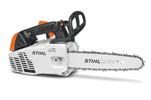Stihl | In-Tree Saws | Model MS 194 T for sale at Carroll's Service Center